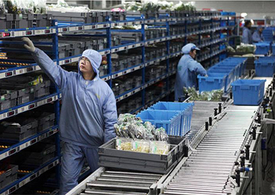 杭州分揀服務(wù)