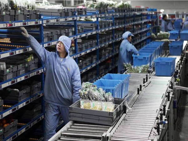 上海到杭州倉儲冷鏈物流